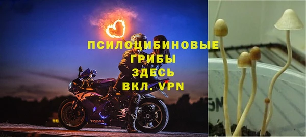 MDMA Premium VHQ Гусиноозёрск