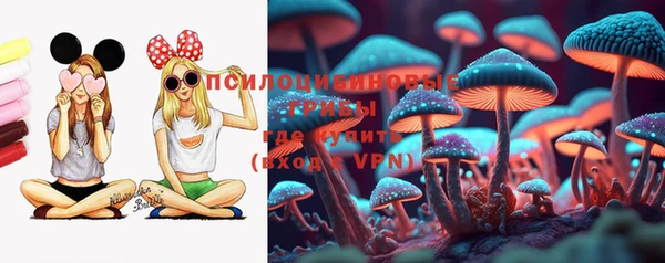 a pvp Абаза