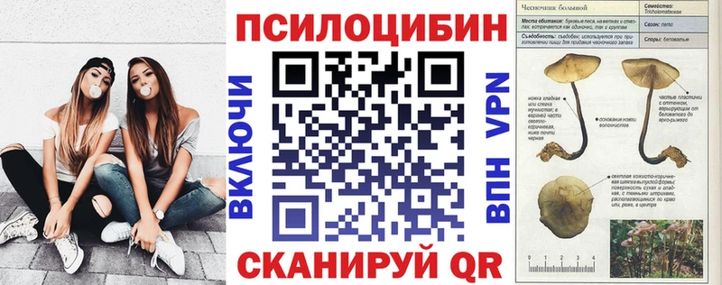 Псилоцибиновые грибы Cubensis где найти Белый