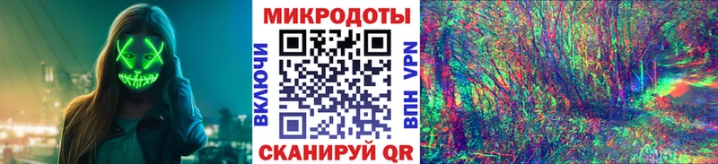Галлюциногенные грибы Psilocybe Белый